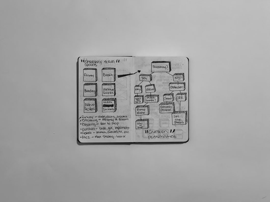Notebook spread of affinity mapping and screen priorities